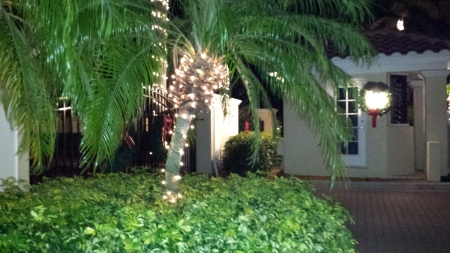 Holidiay Lights at LAmbiance in Pelican Bay entry